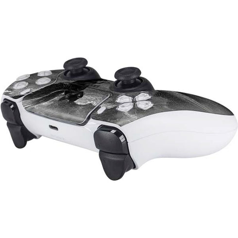 Alchemy Nine Lives of Poe PS5 Controller Skin
